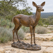 Meadow Watch, warm bronze white-tailed deer sculpture in a natural-light setting.